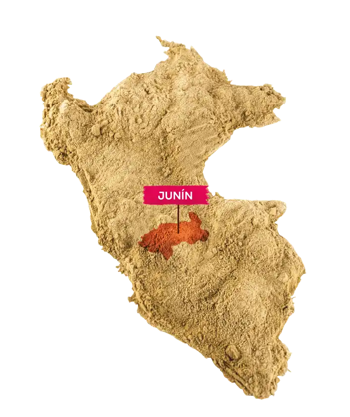 Amazon Andes Distribution